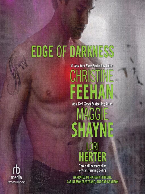 Title details for Edge of Darkness by Maggie Shayne - Available